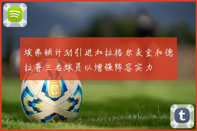 埃弗顿计划引进加拉格尔麦金和德拉普三名球员以增强阵容实力
