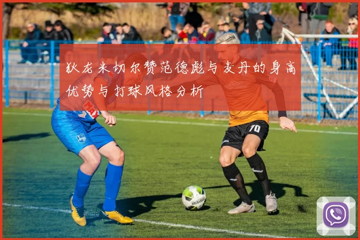 狄龙米切尔赞范德彪与麦丹的身高优势与打球风格分析