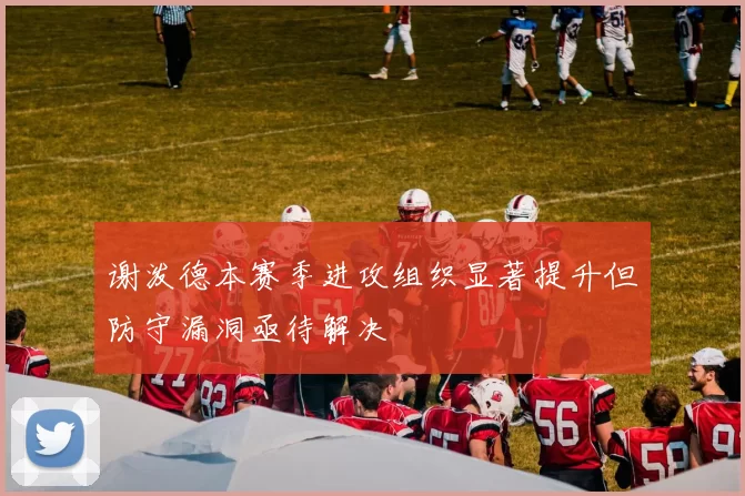 谢泼德本赛季进攻组织显著提升但防守漏洞亟待解决